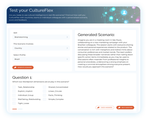 Country-navigator-How it works Cultureflex